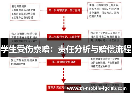 学生受伤索赔：责任分析与赔偿流程