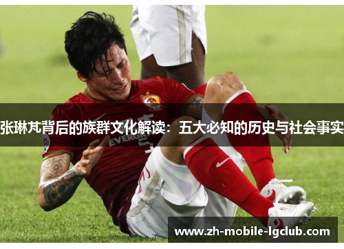 张琳芃背后的族群文化解读：五大必知的历史与社会事实