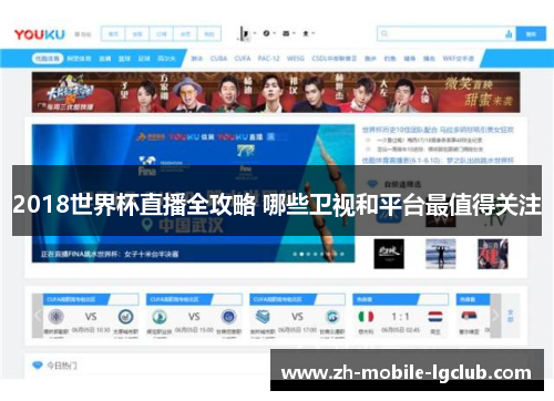 2018世界杯直播全攻略 哪些卫视和平台最值得关注