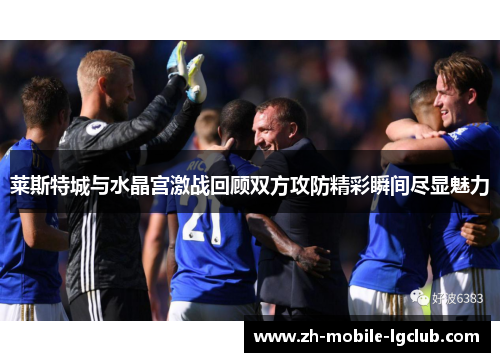 莱斯特城与水晶宫激战回顾双方攻防精彩瞬间尽显魅力