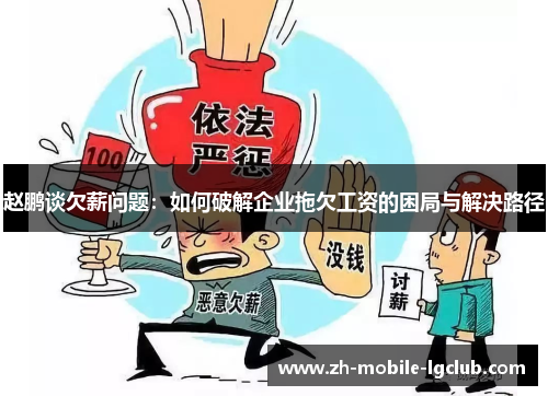 赵鹏谈欠薪问题：如何破解企业拖欠工资的困局与解决路径