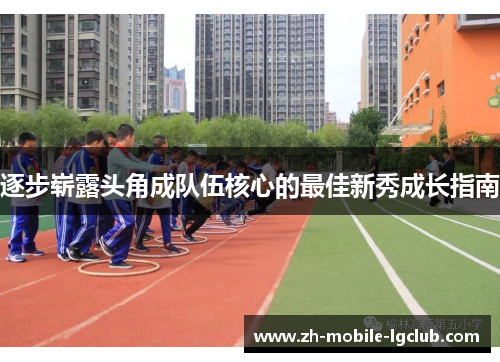 逐步崭露头角成队伍核心的最佳新秀成长指南