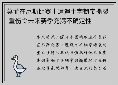莫菲在尼斯比赛中遭遇十字韧带撕裂 重伤令未来赛季充满不确定性